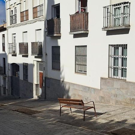Living Albayzin. Parking & Wifi Apartment Granada Ngoại thất bức ảnh